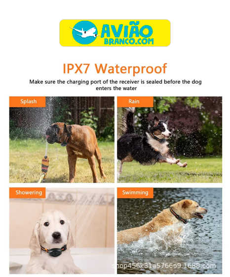 Coleira Eletrônica De Cães Atacado