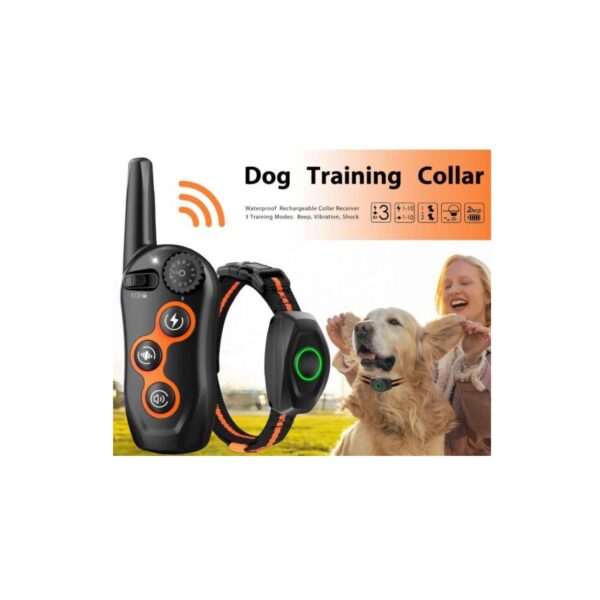 Colar de treinamento dog Fornecedor Atacado Caixa Fechada