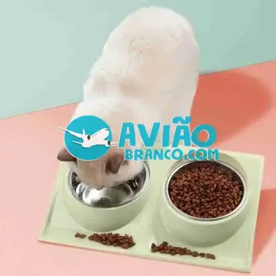 Comedouro Duplo Para Pet Gatos e Cães Pequenos Fornecedor Atacado Caixa Fechada