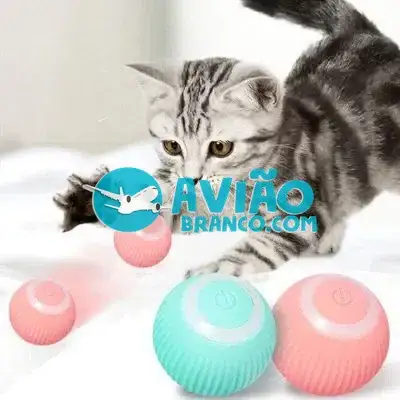 Bola Giratória Inteligente Brinquedo PET Recarregavel USB Fornecedor Atacado Caixa Fechada